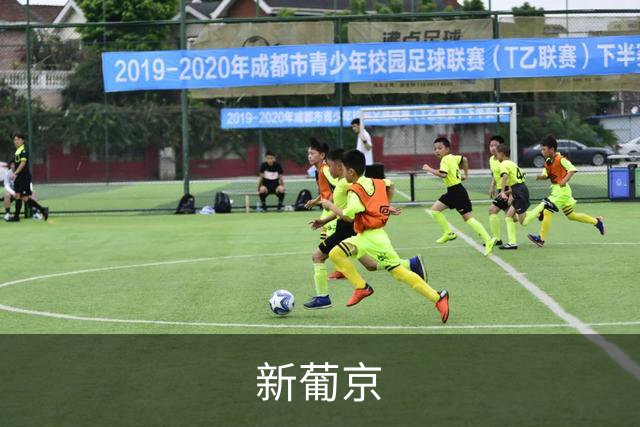 新葡京 公司简介